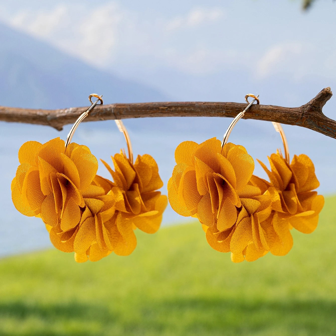 A Pair of Women's Fashionable Hoop Earrings